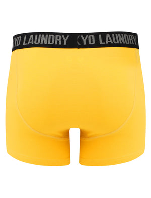 Flatford (2 Pack) Boxer Shorts Set in Blue Moon / Yellow Iris - Tokyo Laundry