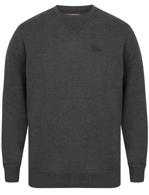 Flit Crew Neck Sweatshirt in Blackened Pearl - Tokyo Laundry