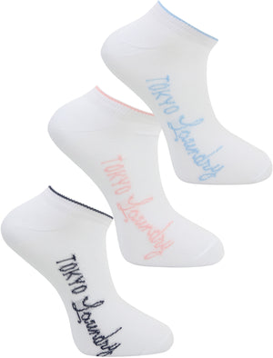 Flo (3 Pack) Assorted Trainers Socks in Sapphire / Candy Pink / Cashmere Blue - Tokyo Laundry