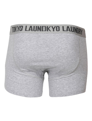 Fraser Island ( 2 Pack) Boxer Shorts in Grey Marl / Indigo Marl Stripes - Tokyo Laundry