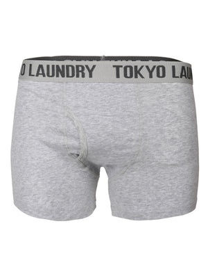 Fraser Island ( 2 Pack) Boxer Shorts in Grey Marl / Indigo Marl Stripes - Tokyo Laundry