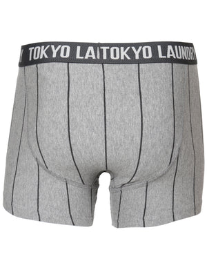 Fraser Island ( 2 Pack) Boxer Shorts in Midnight Blue / Grey Marl Stripes - Tokyo Laundry
