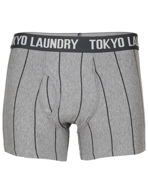 Fraser Island ( 2 Pack) Boxer Shorts in Midnight Blue / Grey Marl Stripes - Tokyo Laundry