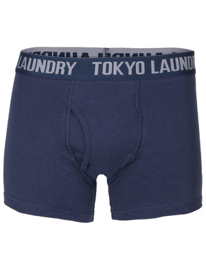 Fraser Island ( 2 Pack) Boxer Shorts in Midnight Blue / Grey Marl Stripes - Tokyo Laundry