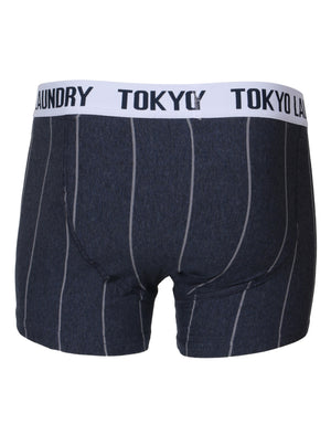 Fraser Island ( 2 Pack) Boxer Shorts in Grey Marl / Indigo Marl Stripes - Tokyo Laundry