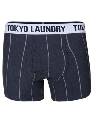 Fraser Island ( 2 Pack) Boxer Shorts in Grey Marl / Indigo Marl Stripes - Tokyo Laundry