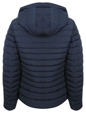 Ginger 2 Quilted Hooded Puffer Jacket in Peacoat - Tokyo Laundry