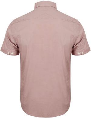 Grosvenor Short Sleeve Cotton Shirt in Mauve - Tokyo Laundry