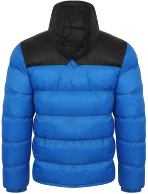 Hakim Colour Block Quilted Puffer Jacket with Hood In Olympian Blue - Tokyo Laundry