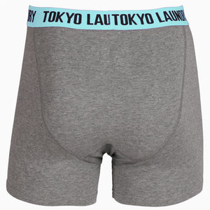 Hall ( 2 Pack ) Boxer Shorts Set in Dewberry / Pastel Turq - Tokyo Laundry