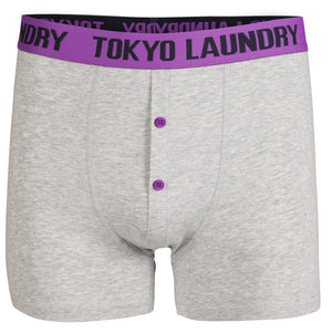 Hall ( 2 Pack ) Boxer Shorts Set in Dewberry / Pastel Turq - Tokyo Laundry