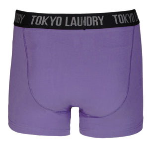 Hampden (2 Pack) Boxer Shorts Set in Purple Opulence / Swedish Blue - Tokyo Laundry