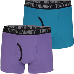 Hampden (2 Pack) Boxer Shorts Set in Purple Opulence / Swedish Blue - Tokyo Laundry
