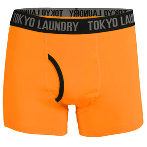 Hampden (2 Pack) Boxer Shorts Set in Laundered Green / Blazing Orange - Tokyo Laundry