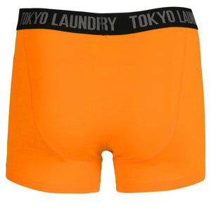 Hampden (2 Pack) Boxer Shorts Set in Laundered Green / Blazing Orange - Tokyo Laundry