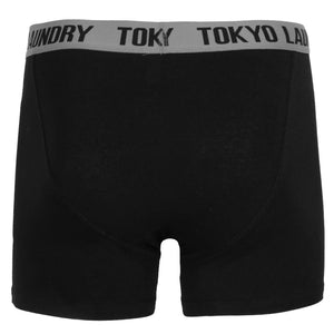 Handley ( 2 Pack ) Boxer Shorts Set in Purple / Mid Grey Marl  - Tokyo Laundry