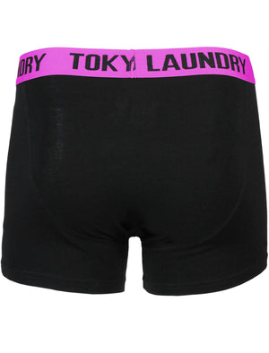 Halcrow ( 2 Pack ) Boxer Shorts Set in Orchid / Olympian Blue - Tokyo Laundry