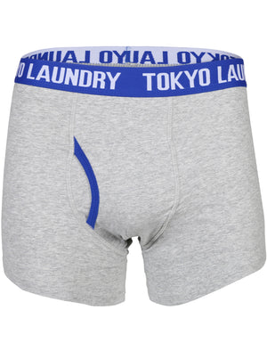 Halcrow ( 2 Pack ) Boxer Shorts Set in Orchid / Olympian Blue - Tokyo Laundry