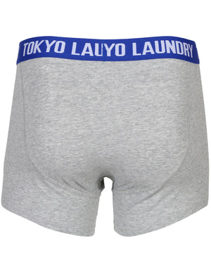 Halcrow ( 2 Pack ) Boxer Shorts Set in Orchid / Olympian Blue - Tokyo Laundry