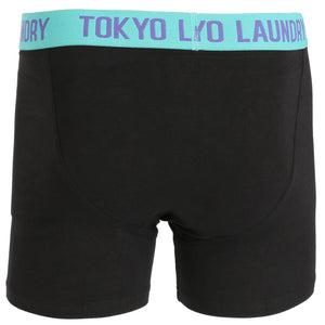 Harden (2 Pack) Boxer Shorts Set in Purple / Agate Green - Tokyo Laundry