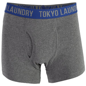 Harleton (2 Pack) Boxer Shorts Set in Estate Blue / Dark Grey Marl - Tokyo Laundry