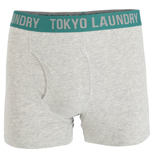Hartfield (2 Pack) Boxer Shorts Set in Seaweed / Light Grey Marl - Tokyo Laundry