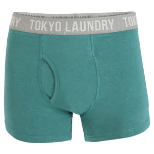 Hartfield (2 Pack) Boxer Shorts Set in Seaweed / Light Grey Marl - Tokyo Laundry
