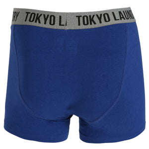 Hartfield (2 Pack) Boxer Shorts Set in Sapphire / Black - Tokyo Laundry
