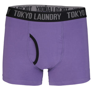 Hatfields (2 Pack) Boxer Shorts Set in Purple Opulence / Swedish Blue - Tokyo Laundry