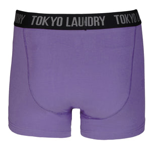 Hatfields (2 Pack) Boxer Shorts Set in Purple Opulence / Swedish Blue - Tokyo Laundry