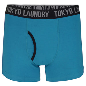 Hatfields (2 Pack) Boxer Shorts Set in Purple Opulence / Swedish Blue - Tokyo Laundry
