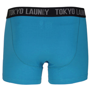 Hatfields (2 Pack) Boxer Shorts Set in Purple Opulence / Swedish Blue - Tokyo Laundry