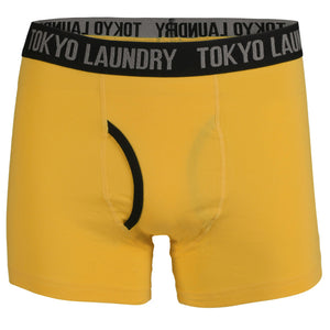 Hatfields (2 Pack) Boxer Shorts Set in Virdian Green / Yellow  - Tokyo Laundry