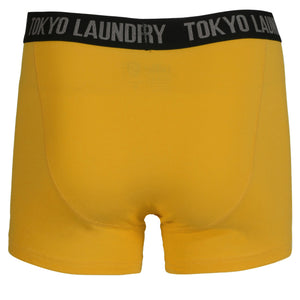 Hatfields (2 Pack) Boxer Shorts Set in Virdian Green / Yellow  - Tokyo Laundry