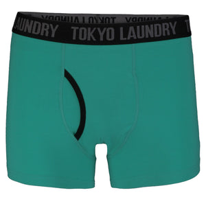 Hatfields (2 Pack) Boxer Shorts Set in Virdian Green / Yellow  - Tokyo Laundry