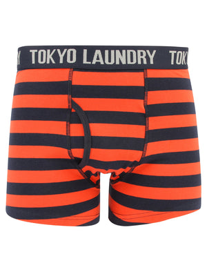 Haverfield 2 (2 Pack) Boxer Shorts Set Paprika / True Navy - Tokyo Laundry