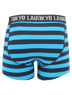 Haverfield 2 (2 Pack) Boxer Shorts Set Swedish Blue / True Navy - Tokyo Laundry