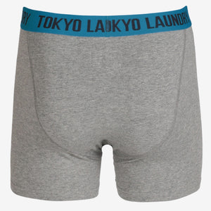 Headlam (2 Pack) Boxer Shorts Set in Swedish Blue / Paradise Pink - Tokyo Laundry