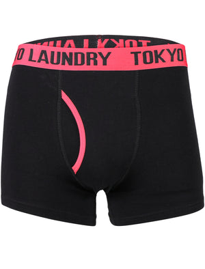 Heiron (2 Pack) Boxer Shorts Set in Paradise Pink / Niagara Blue - Tokyo Laundry