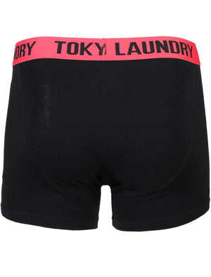 Heiron (2 Pack) Boxer Shorts Set in Paradise Pink / Niagara Blue - Tokyo Laundry