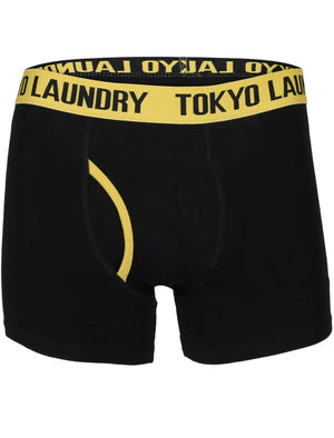 Heiron (2 Pack) Boxer Shorts Set in Yellow Iris / Laundered Green - Tokyo Laundry