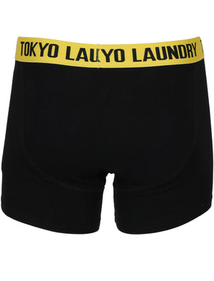 Heiron (2 Pack) Boxer Shorts Set in Yellow Iris / Laundered Green - Tokyo Laundry