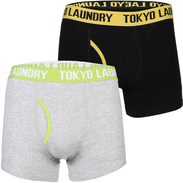Heiron (2 Pack) Boxer Shorts Set in Yellow Iris / Laundered Green - Tokyo Laundry