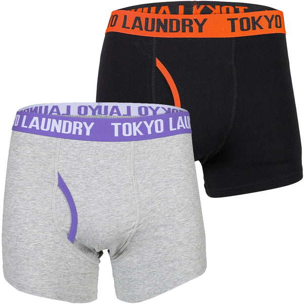Heiron (2 Pack) Boxer Shorts Set in Harvest Pumpkin / Purple Opulence - Tokyo Laundry