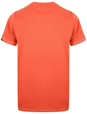 Henryville Applique Cotton T-Shirt In Faded Rose - Tokyo Laundry