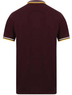 Holsen Cotton Grindle Polo Shirt with Tipping in Wine Tasting - Tokyo Laundry