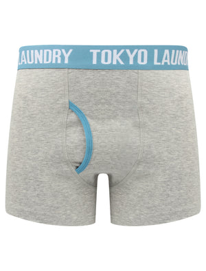 Hydes (2 Pack) Boxer Shorts Set in Harvest Pumpkin / Niagara Blue - Tokyo Laundry