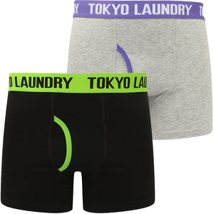 Hydes (2 Pack) Boxer Shorts Set in Laundered Green / Purple Opulence - Tokyo Laundry