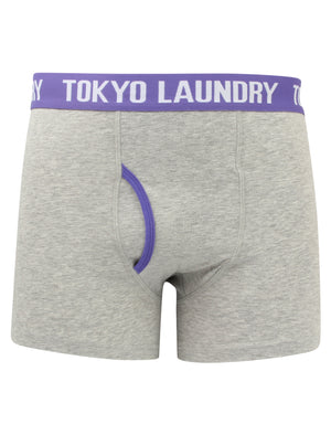 Hydes (2 Pack) Boxer Shorts Set in Laundered Green / Purple Opulence - Tokyo Laundry