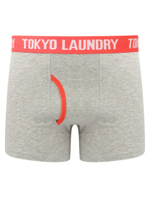 Hydes (2 Pack) Boxer Shorts Set in Swedish Blue / Paradise Pink - Tokyo Laundry
